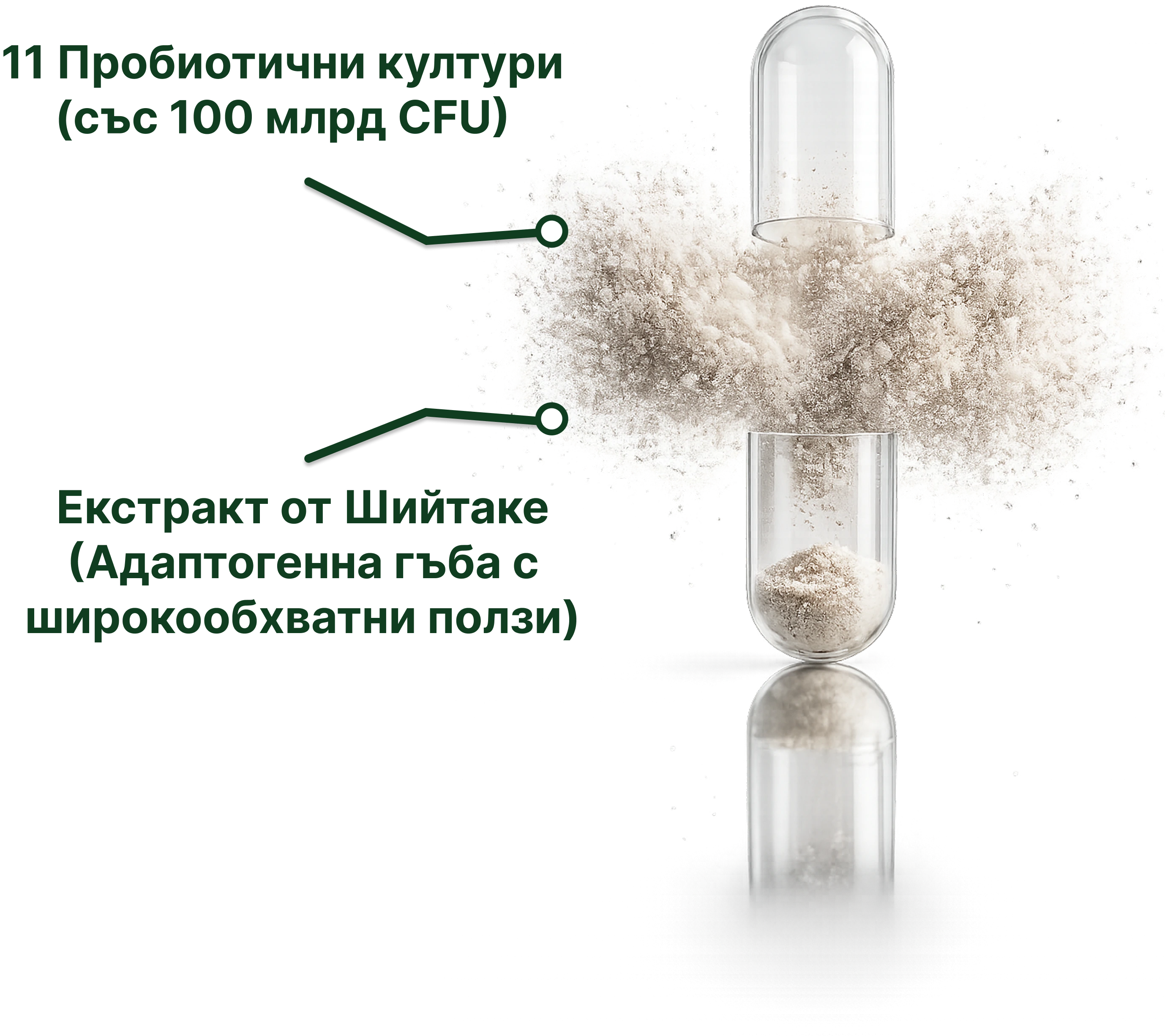 Forest Green Probiotic Blend+ продукт